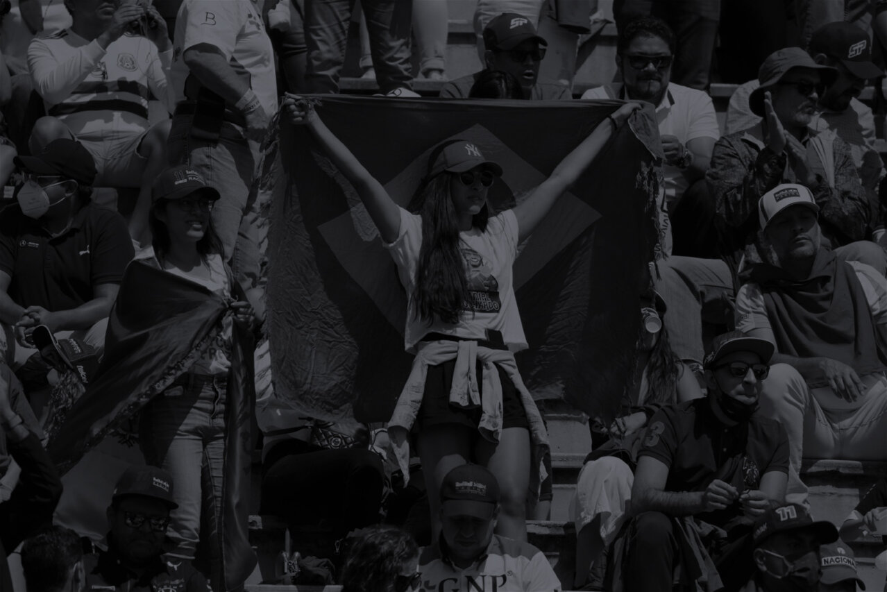 Female fan waving Brazilian flag in a crowd